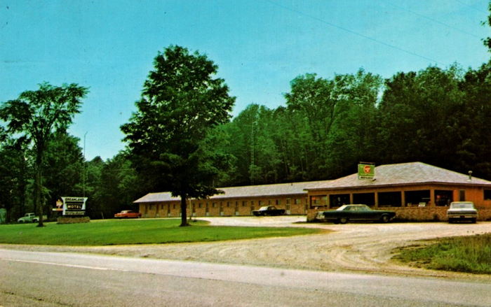 Dreamland Motel - Vintage Postcard